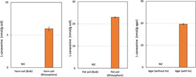 L-Canavanine, a Root Exudate From Hairy Vetch (Vicia villosa) Drastically Affecting the Soil Microbial Community and Metabolite Pathways